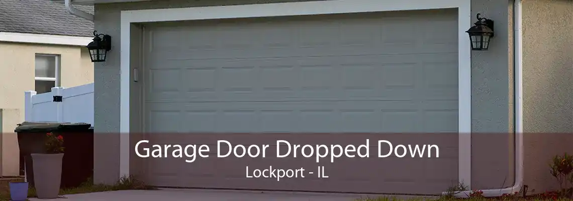 Garage Door Dropped Down Lockport - IL