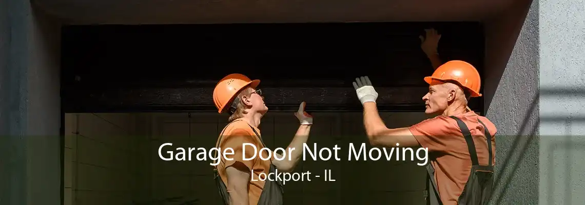 Garage Door Not Moving Lockport - IL