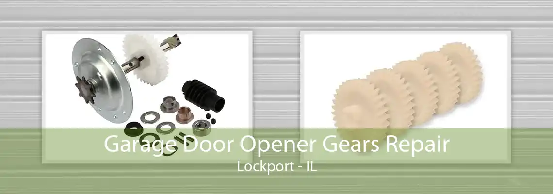 Garage Door Opener Gears Repair Lockport - IL