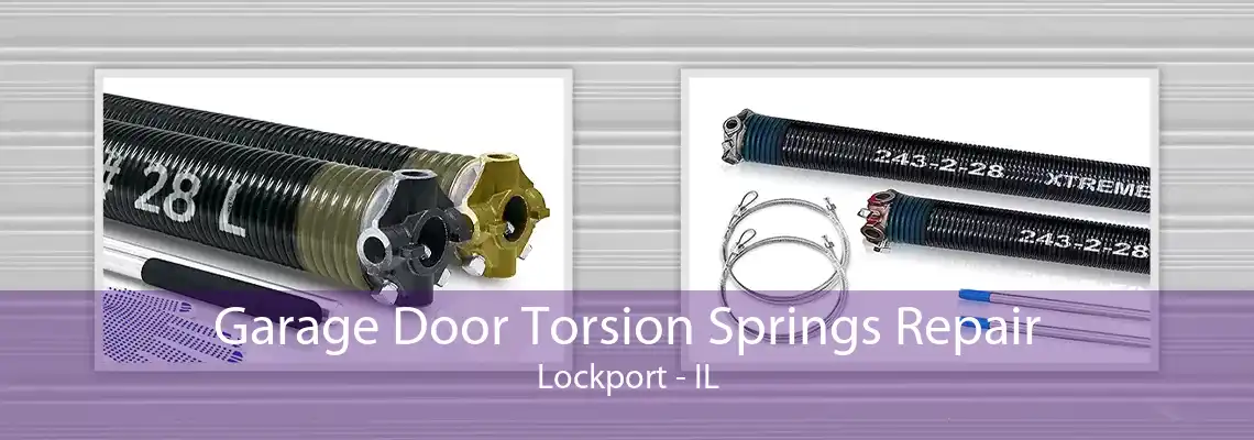 Garage Door Torsion Springs Repair Lockport - IL