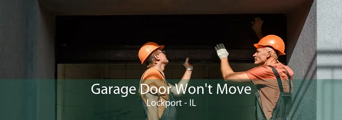 Garage Door Won't Move Lockport - IL